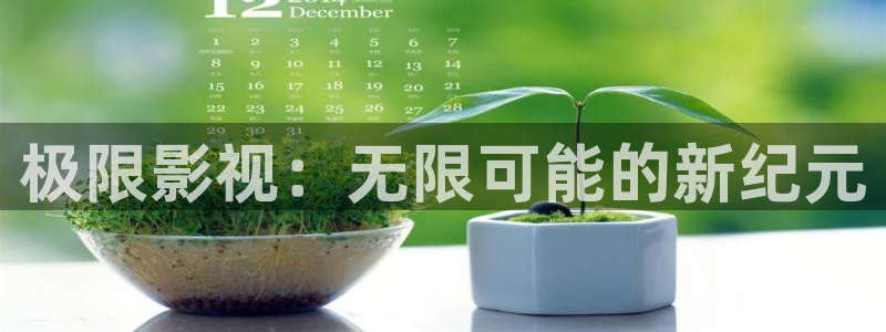 石家庄麦田汽车电影院：极限影视：无限可能的新纪元