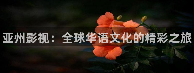 上海麦田：亚州影视：全球华语文化的精彩之旅