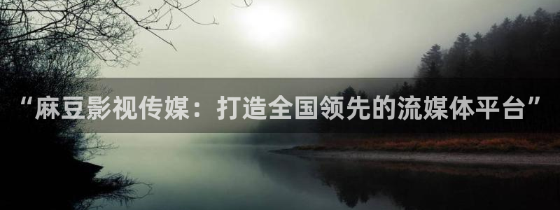 麦田影院最新版本下载：“麻豆影视传媒：打造全国领先的流媒体平台”
