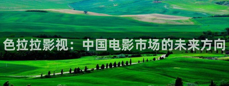 麦田影视官方网站入口：色拉拉影视：中国电影市场的未来方向