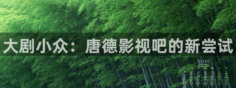 绵阳麦田视觉：大剧小众：唐德影视吧的新尝试