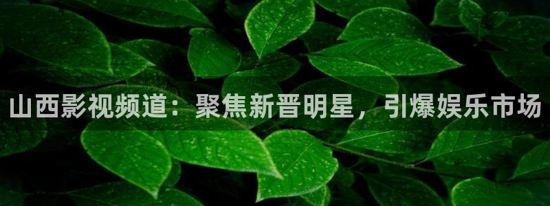 麦田 北京：山西影视频道：聚焦新晋明星，引爆娱乐市场