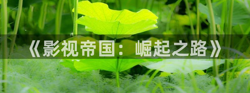 麦田北京：《影视帝国：崛起之路》