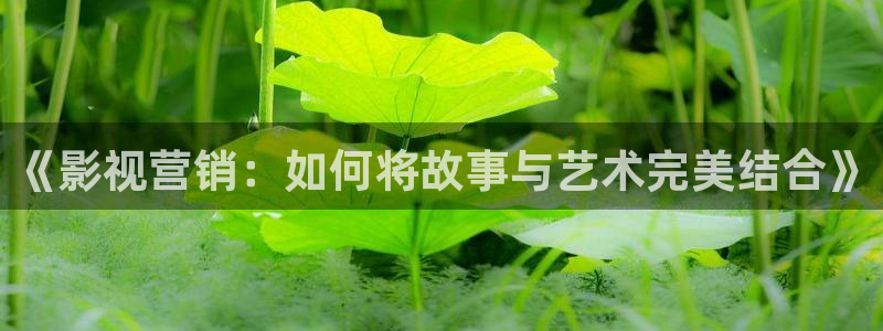 麦田影院下载：《影视营销：如何将故事与艺术完美结合》