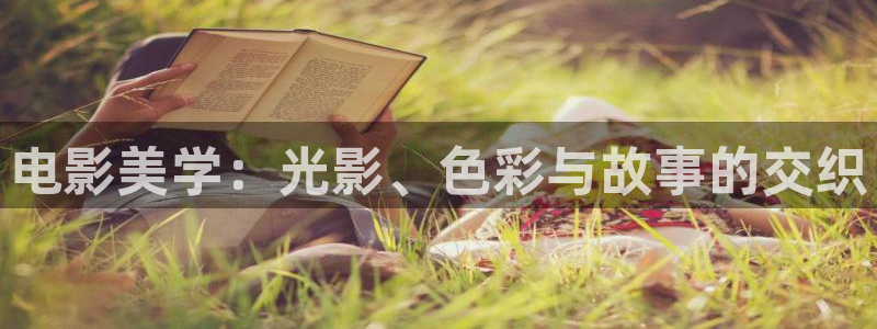 麦田视觉摄影怎么样：电影美学：光影、色彩与故事的交织