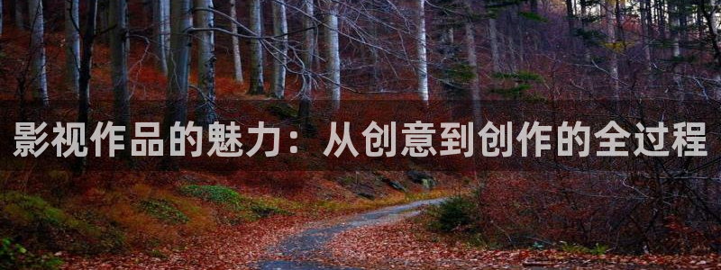 唐山麦田国际影城：影视作品的魅力：从创意到创作的全过程